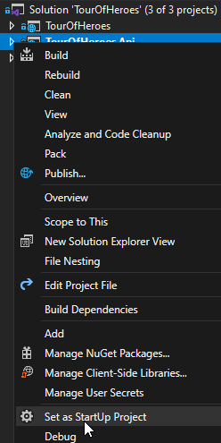Set as Startup Project